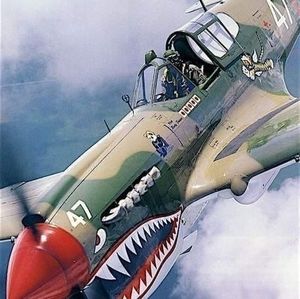 Meet your Posher, Joe